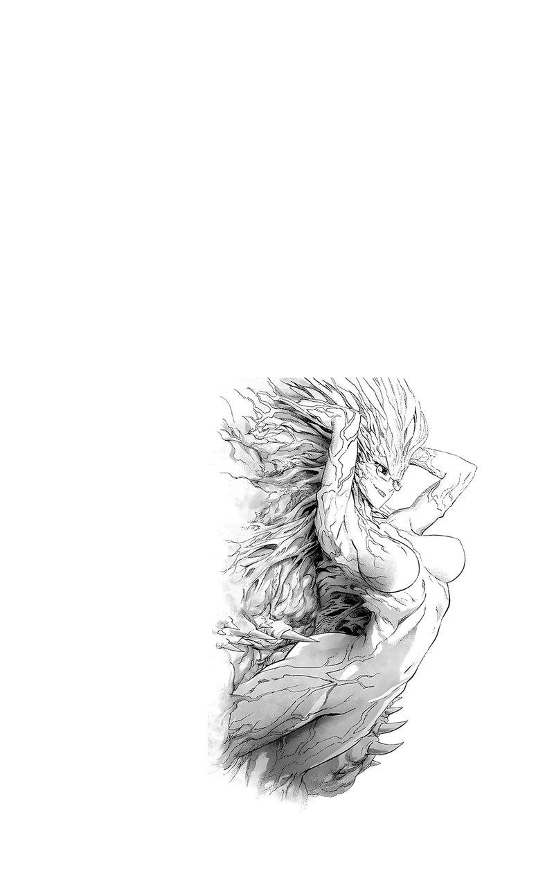 One Punch Man - Chapter 187.5 image 17